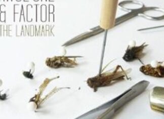 Awol One & Factor
