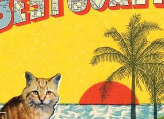 Best Coast