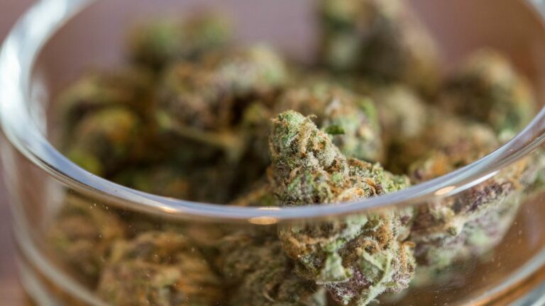 California Does Not Have A Medical Marijuana Recommendation Problem