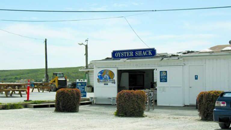 State Health Officials Say Avoid Eating Oysters from Farm Backed by Dianne Feinstein