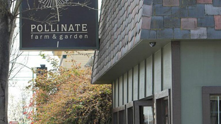 Fruitvale Gets an Urban Farm Store