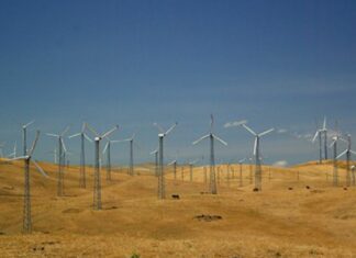 Green-Energy Storage: ‘The Next Big Thing’