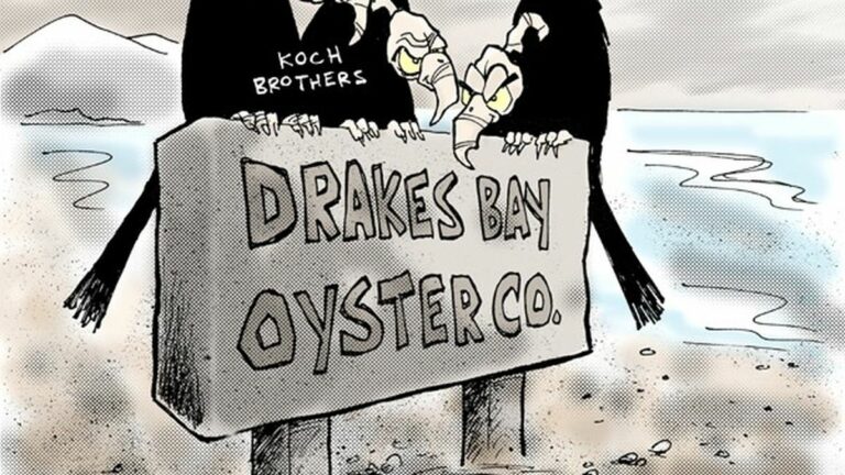 Here Come the Vultures