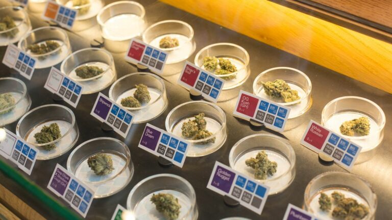Historic Medi-Pot Rules Debated in California Assembly