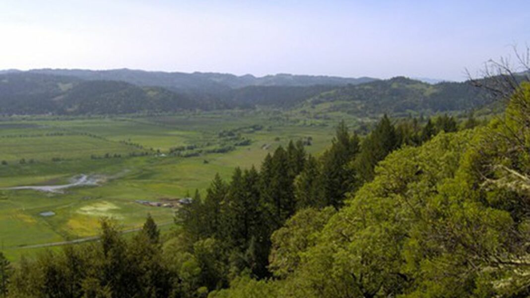 1360794698-willits_little_lake_valley_beedle_um_bum_flickr_cc_-featured