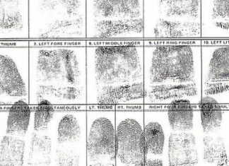 Looking for Work with a Criminal Record