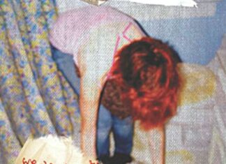 Los Campesinos!