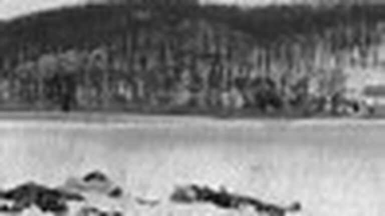 M83