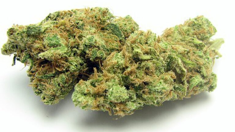 California Police Leaders Defeat Medical Cannabis Regulations
