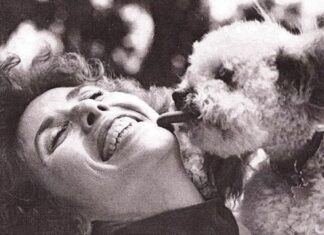 Pet Care Through the Years