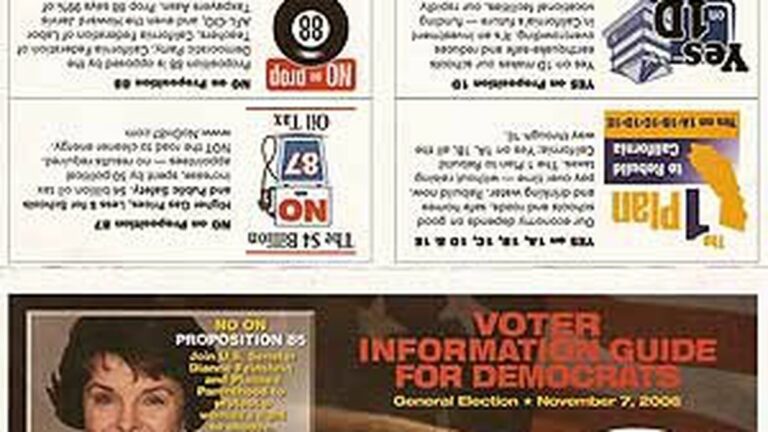 Election 2006: Your Fake Voter Guide Is In the Mail