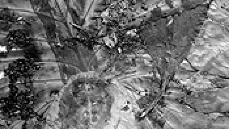 Vietnam, at Ground Level