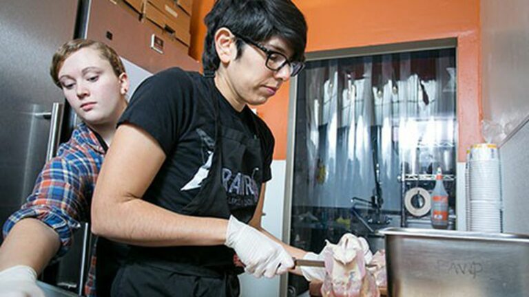Slow Food for Felines