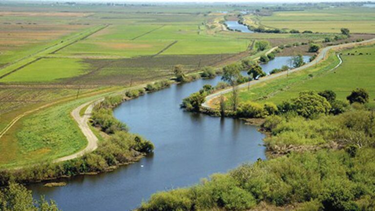 State Panel Urges Rejection of Water Tunnels