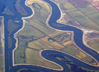 Court Ruling Could Help Delta and Fish