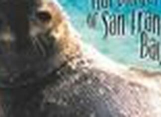 The Harbinger Seals of San Francisco Bay