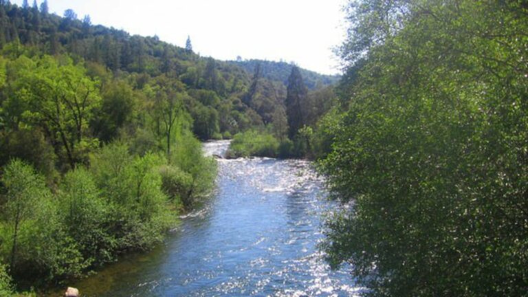 Sierra Water Grab