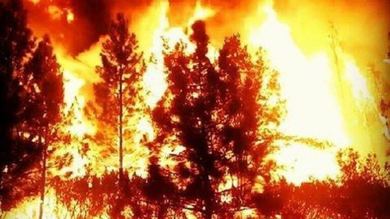 Thursday Must Reads: Lawmakers Order Probe of UC Berkeley Sex Assaults; Fire Near Yosemite Grows More Massive
