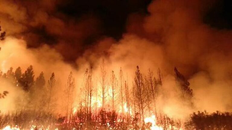 Friday Must Reads: OPD Refuses to Identify Suspects Arrested in Ceasefire; Monstrous Yosemite Blaze Tops 100,000 Acres