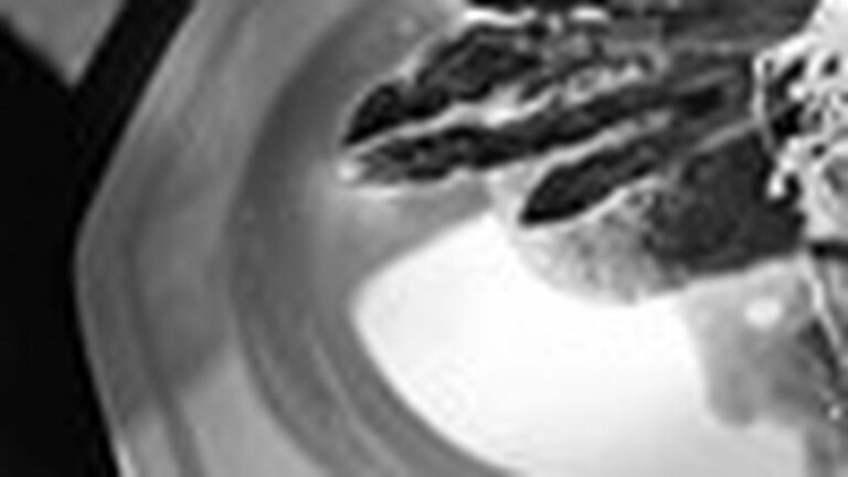 Semiprecious Dining