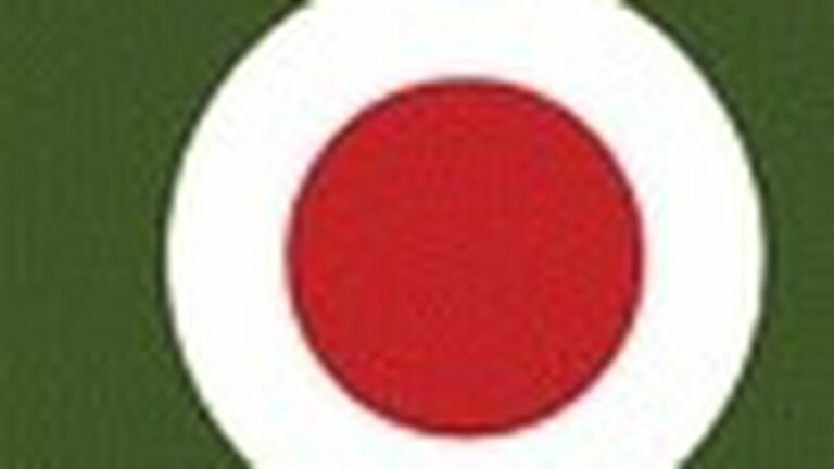 Thievery Corporation