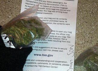 TSA Eases Up on Passengers Flying with Marijuana