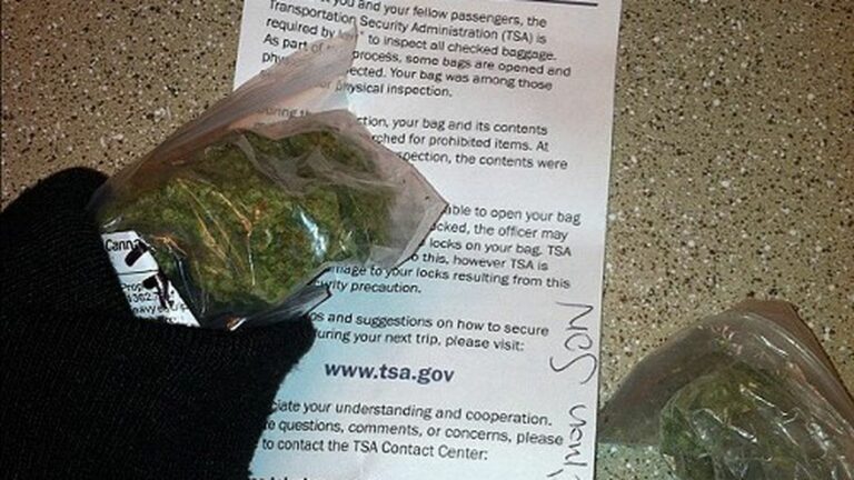 TSA Eases Up on Passengers Flying with Marijuana