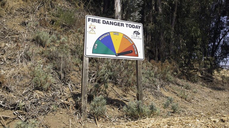The Social Costs of Living in Wildfire-Prone Areas