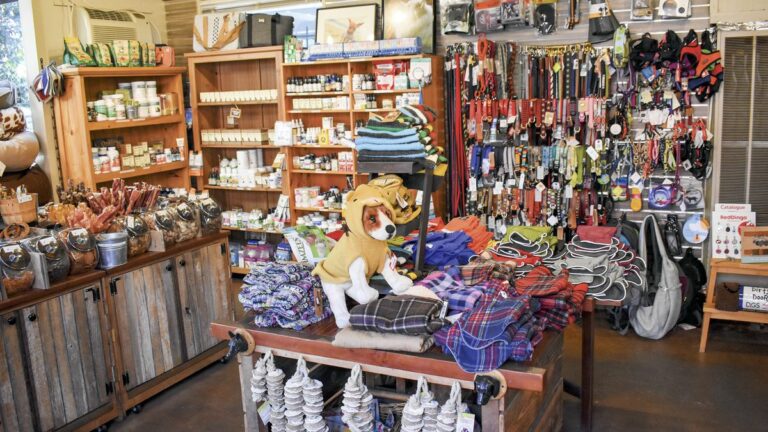 East Bay Gifts for Furry Friends
