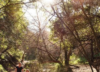 Summer Fun With Kids