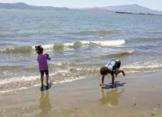 Richmond’s Keller Beach is a Hidden Gem. But You Might Not Want to Swim There