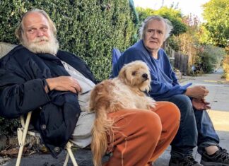 The New Face of Homelessness: Elderly and Disabled