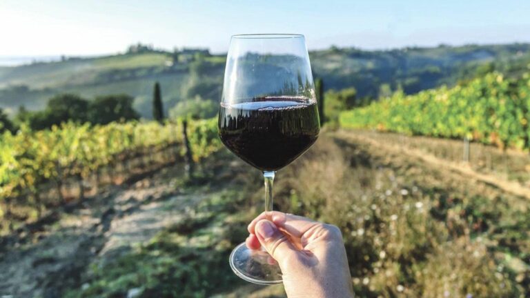 Aromas of Black Plum and Licorice, With Lingering Notes of Roundup Aromas of Black Plum and Licorice, With Lingering Notes of Roundup