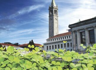 Berkeley’s Irish Summers