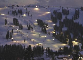 New Terrain, Fat Bikes, RFID Tags, and Much More Food