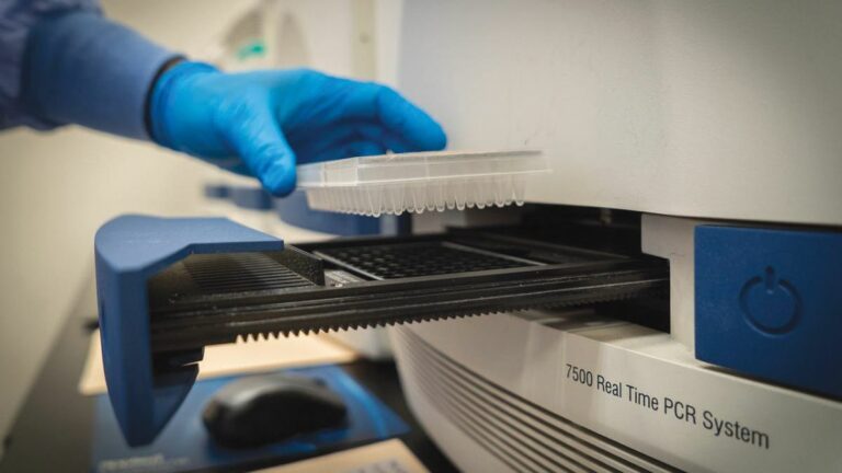 Coronavirus Journal