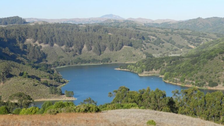 Wednesday’s Briefing: Amid wildfire warnings, EBRPD closes 10 parks; Triple shooting in East Oakland