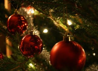 Oh, Christmas Tree