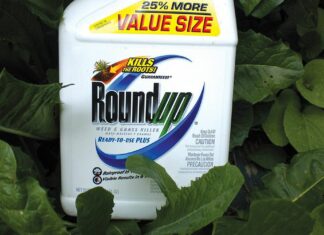 Evidence Mounts that Roundup Is Toxic