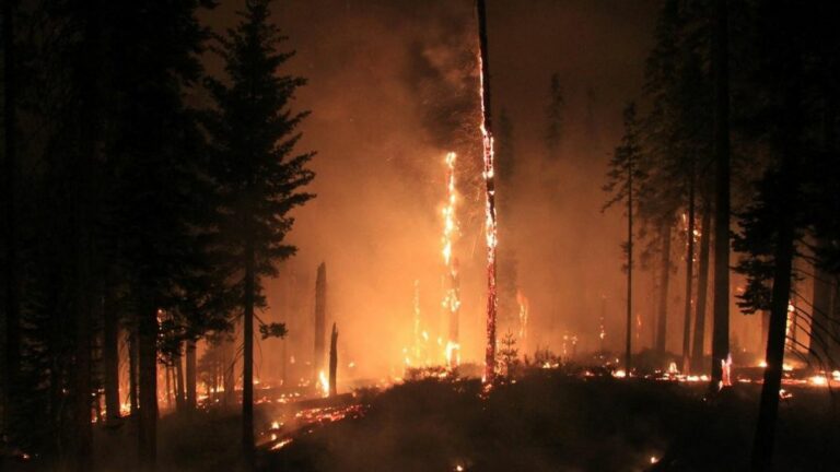 Monday Must Reads: Harbin Hot Springs and Two NorCal Towns Ravaged by Fire; Blazes Envelop Dry California