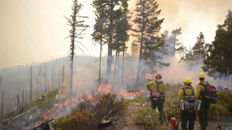 Thursday Must Reads: PG&E Line May Have Sparked Massive Sierra Fire; Sea Level Rise Threatens Bay Area Wetlands
