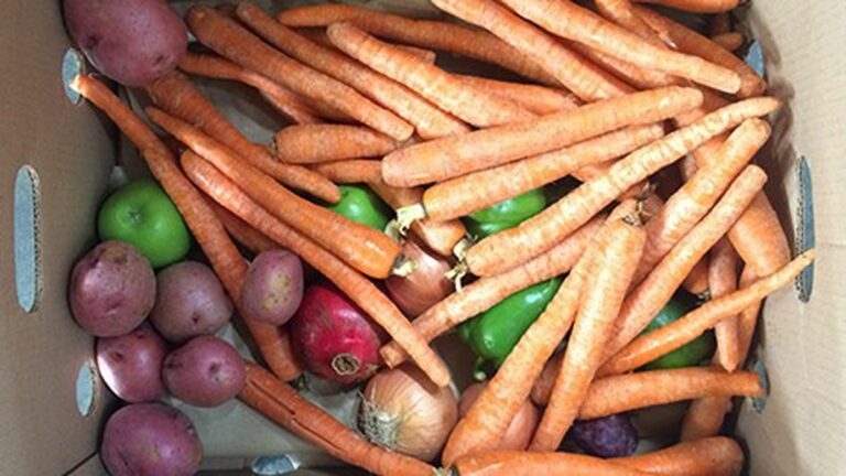 The Anti-Waste Kitchen