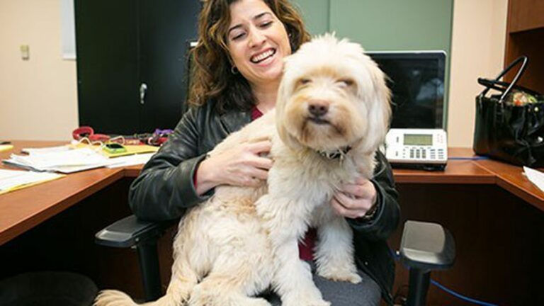 Oakland Animal Services Euthanasia Rates Plummet, Shelter Saves Record-High Number of Animals