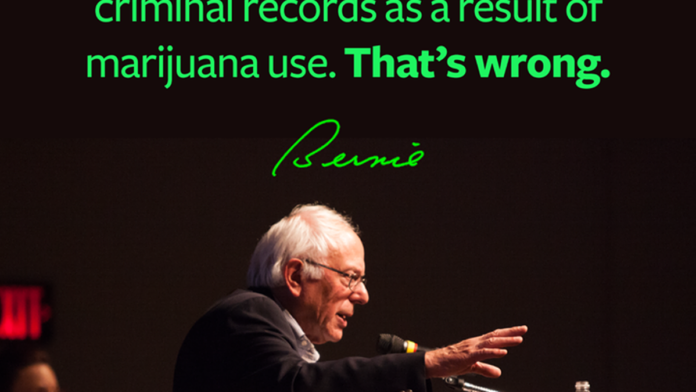 Legalization Advocates Feel The Bern! Sanders Calls Pot Prohibition ‘Absurd’