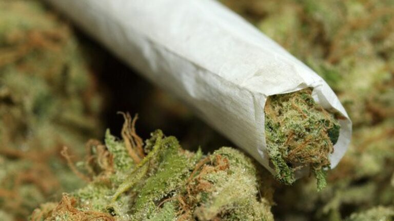 California Voters Are Saying ‘Yes’ to Legalized Pot
