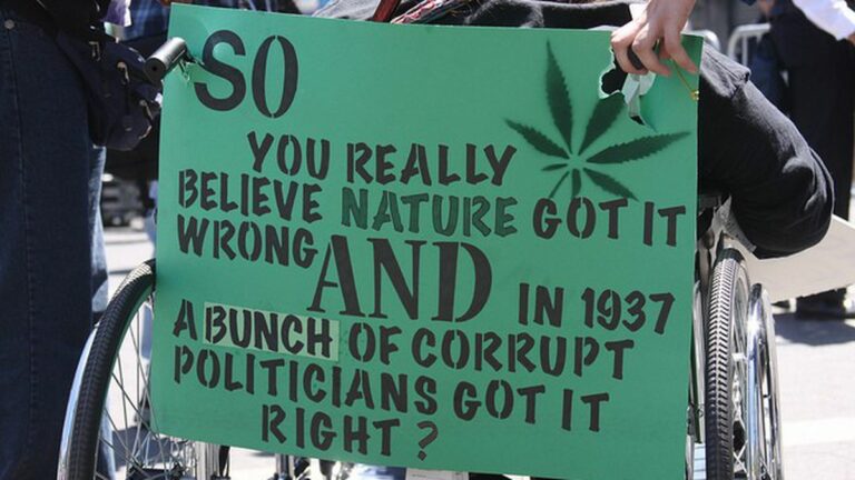 Medical and Adult Marijuana Legalization Efforts Light Up America
