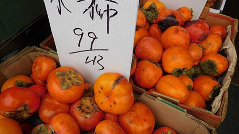 Celebrating Holiday Persimmons (And How to Eat Them)