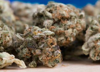 Are California’s New Marijuana Lab-Testing Rules Too Onerous, Expensive?