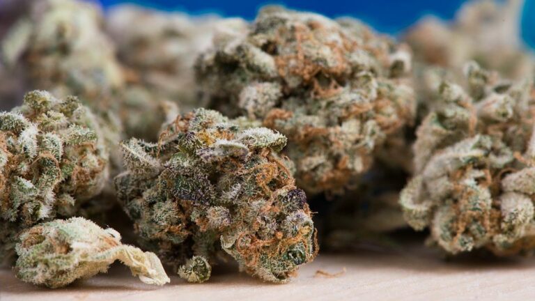 Are California’s New Marijuana Lab-Testing Rules Too Onerous, Expensive?