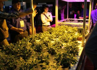 The ‘Green Rush’ Went Next Level at Last Week’s Cannabis Business Summit and Expo in Oakland